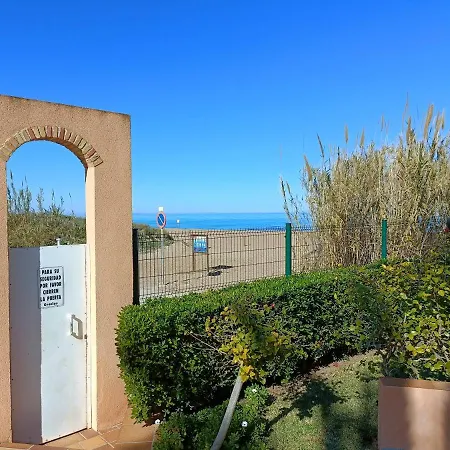 Flamingo * Dénia